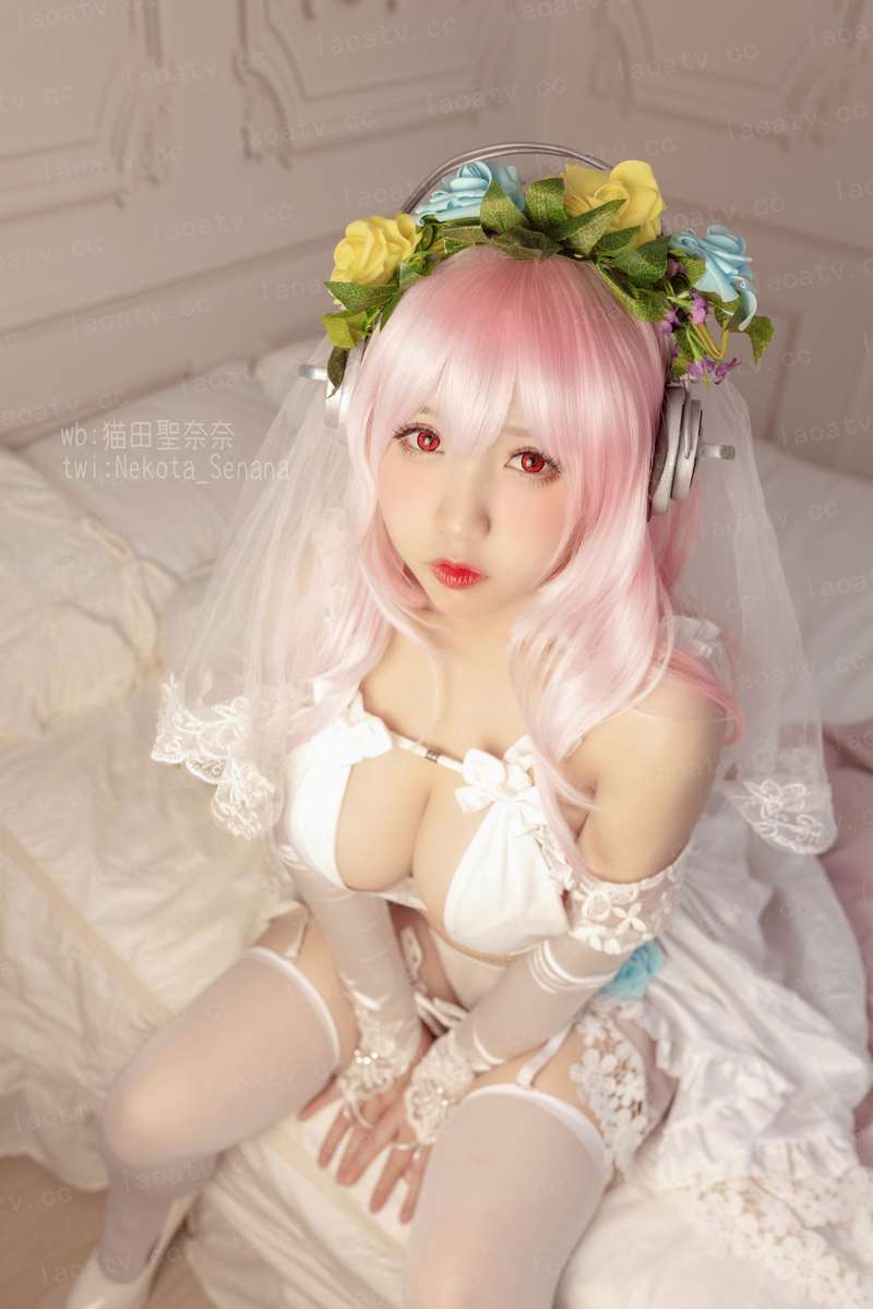 邪皇独宠：爱妃是朵黑心莲