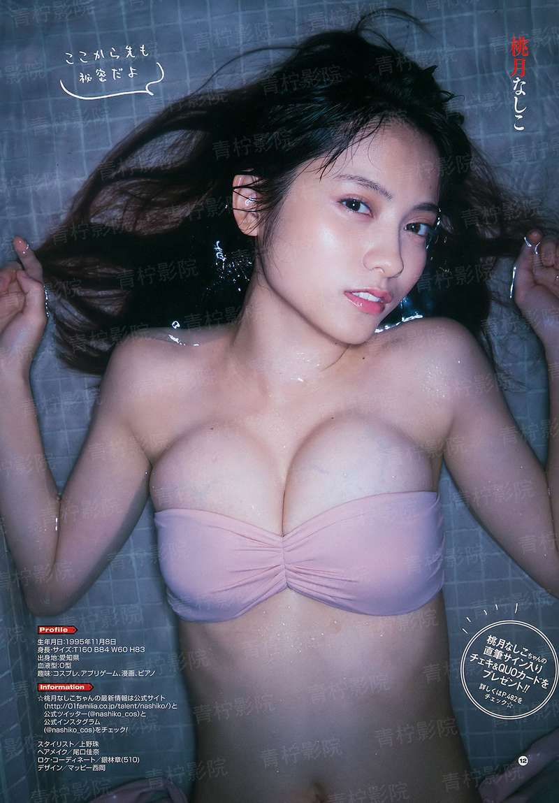 章鲨
