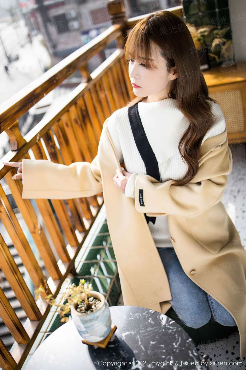 制服行动