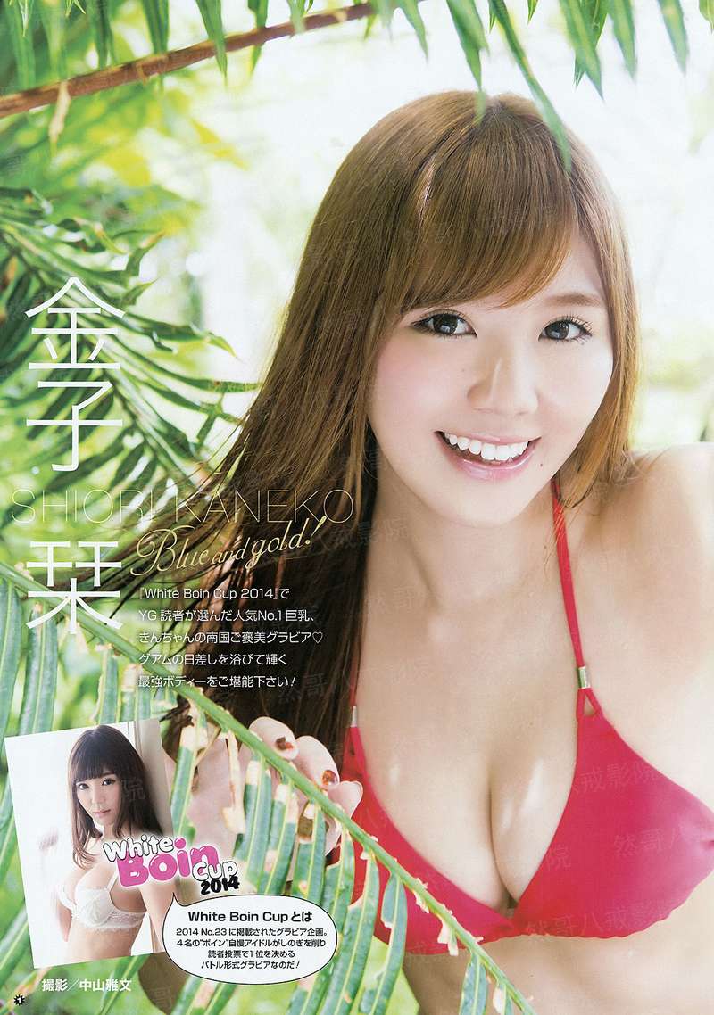 玛雅密码