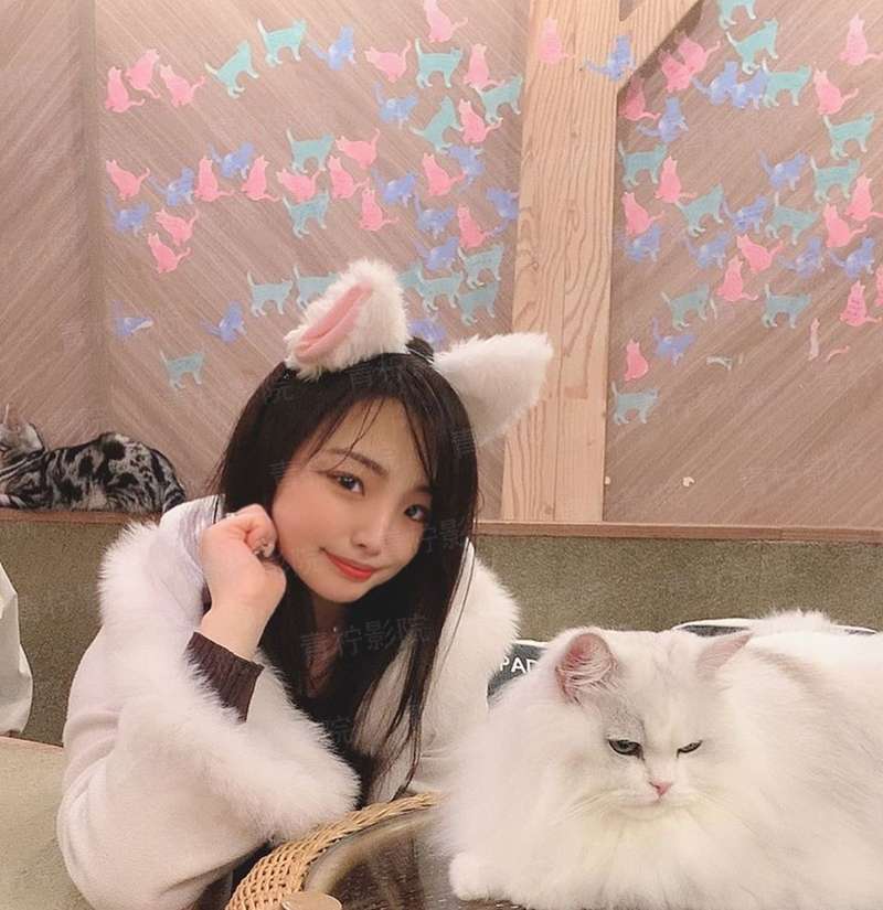 倾世废材：王妃很高冷