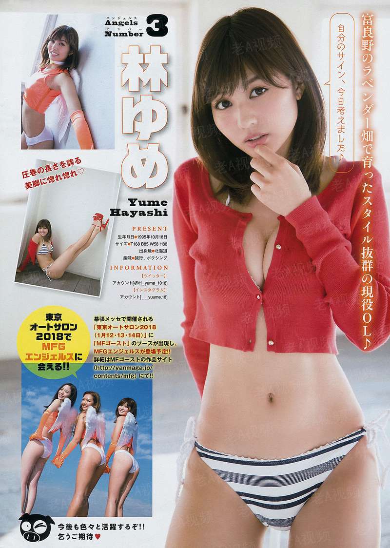 宠物小精灵的不思议生活