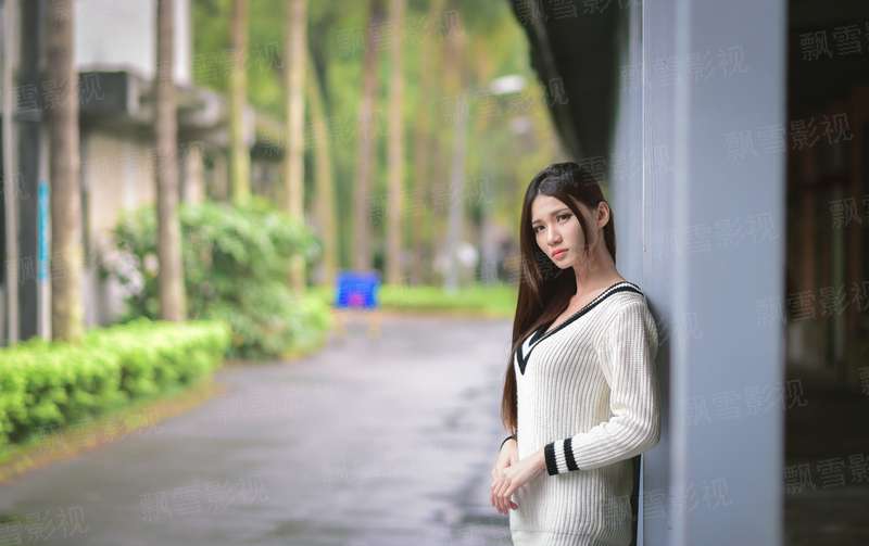 赌你不敢爱我