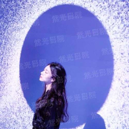 无蝶一梦周