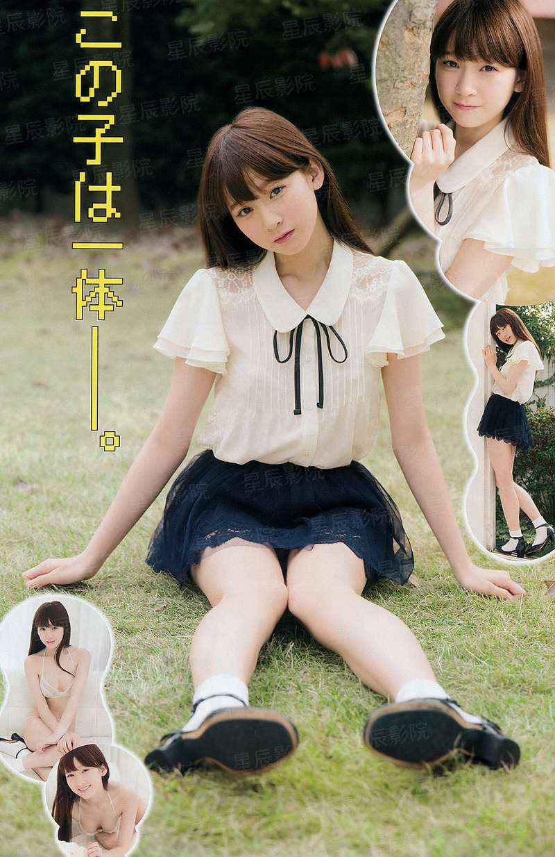岁岁生歌