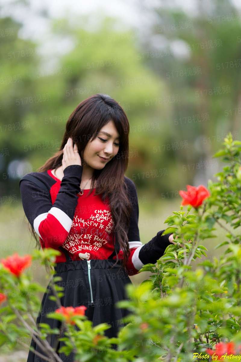 魔法师和汉娜的游轮生活