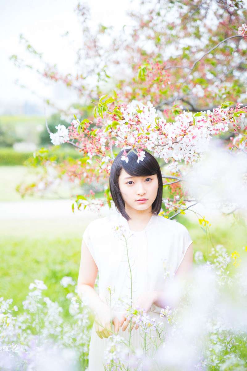 暖婚厚爱极品妻