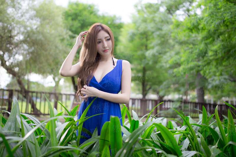 全能护花使者