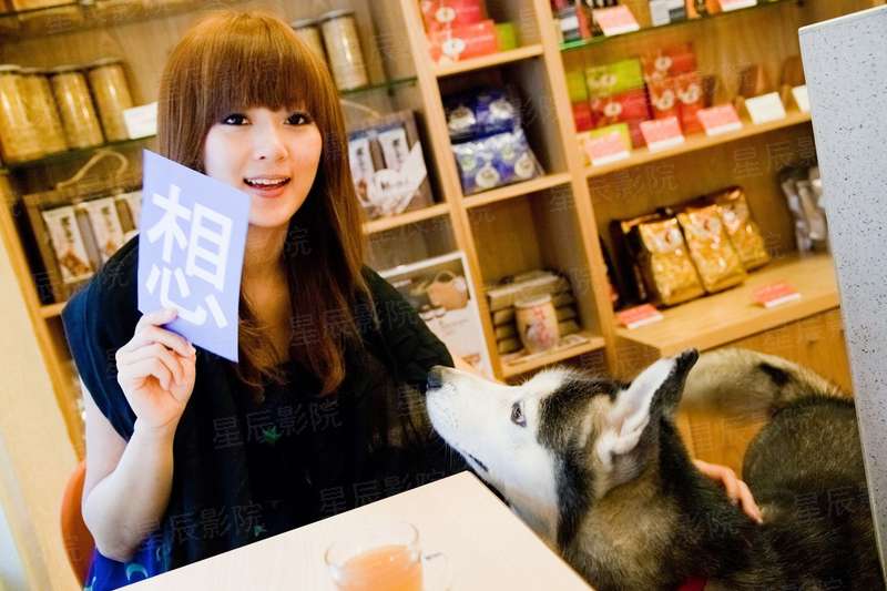美猴王归来