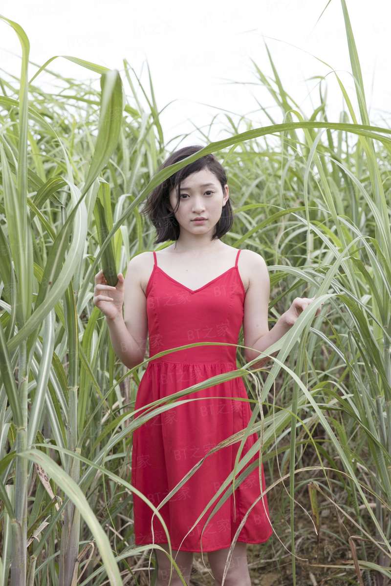笙笙如歌