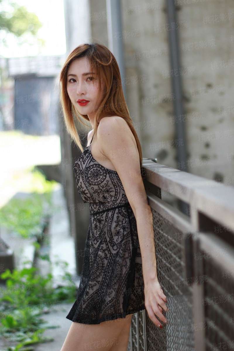 兔宝的悲惨日常