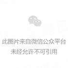 清梦压星河