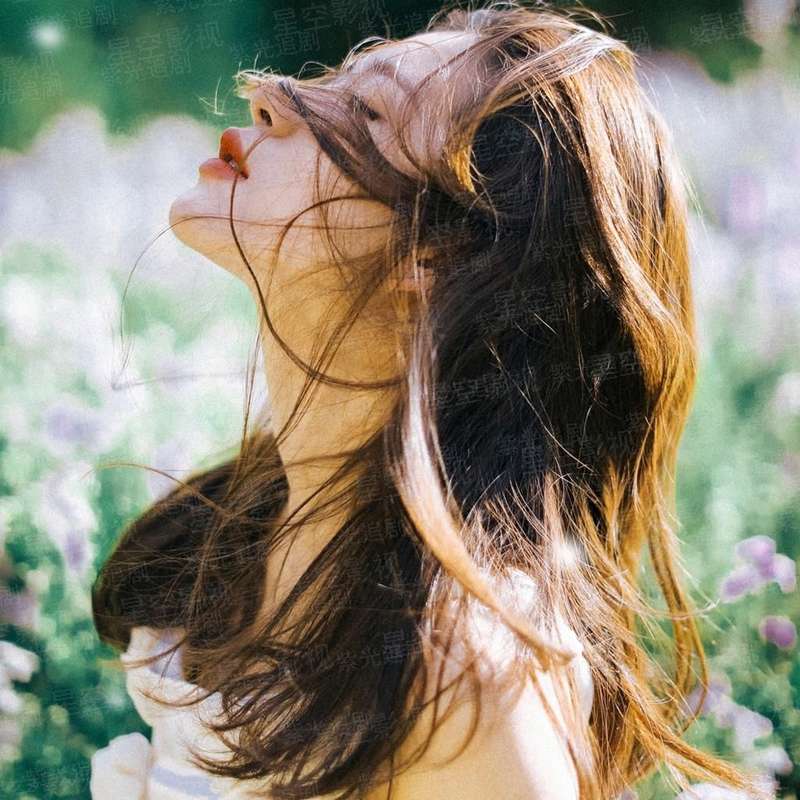 女帝重生--妖凰天下