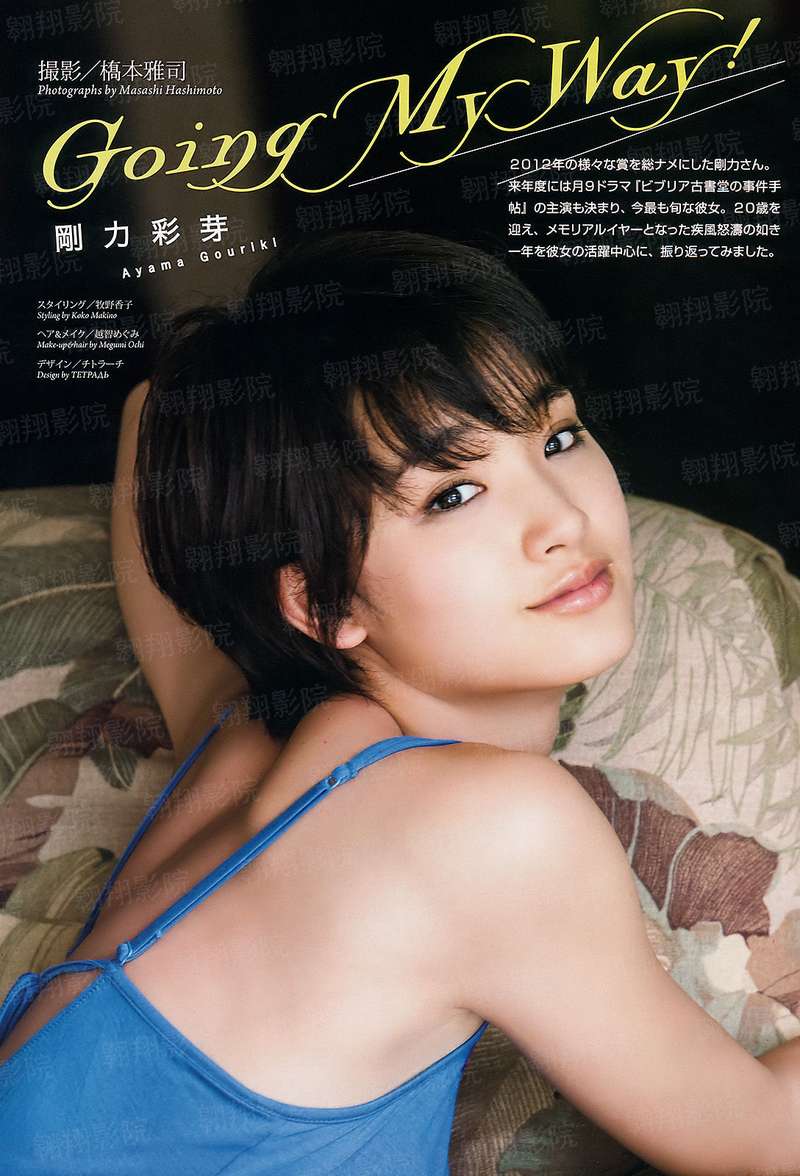 系统供应商