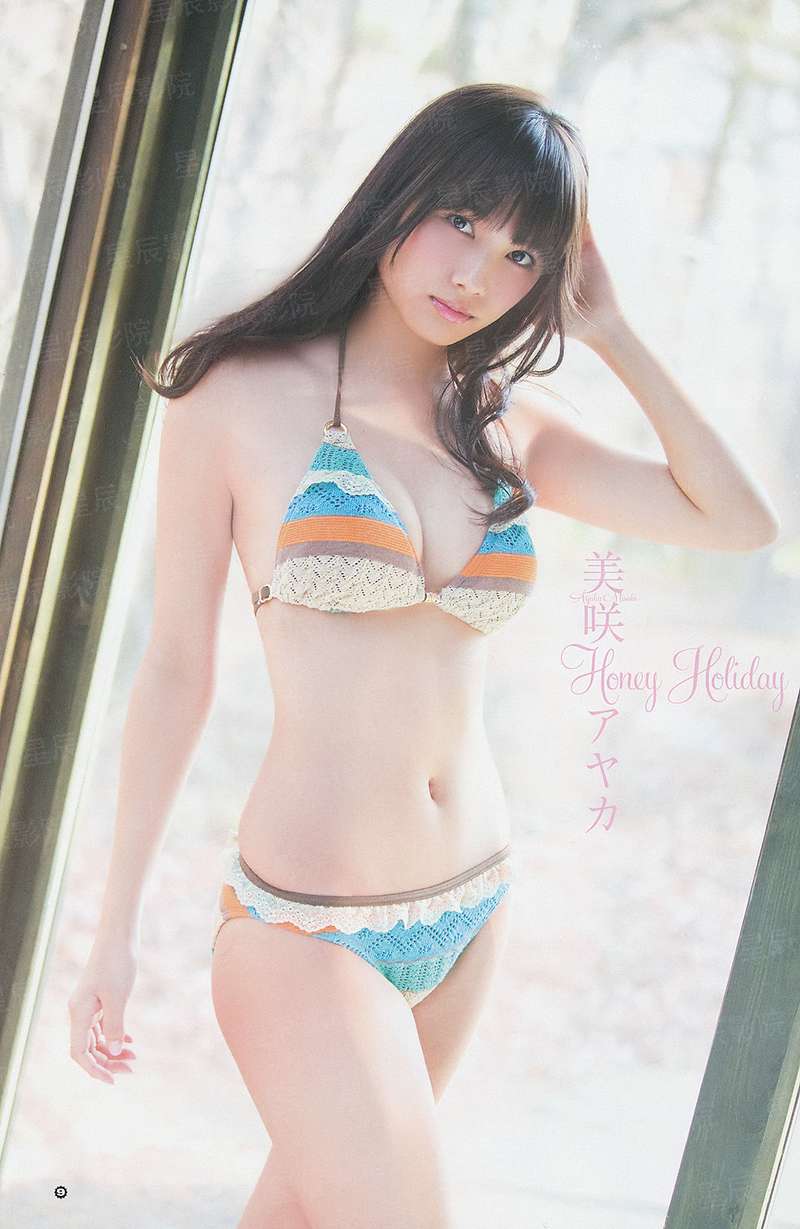 良臣系统