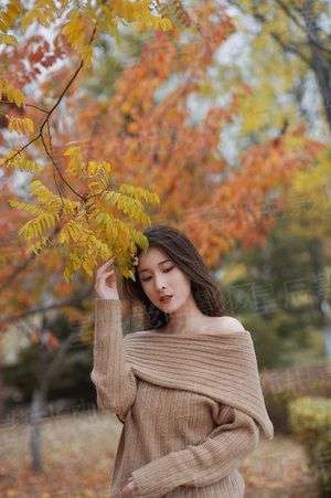 美女总裁老婆赖着我