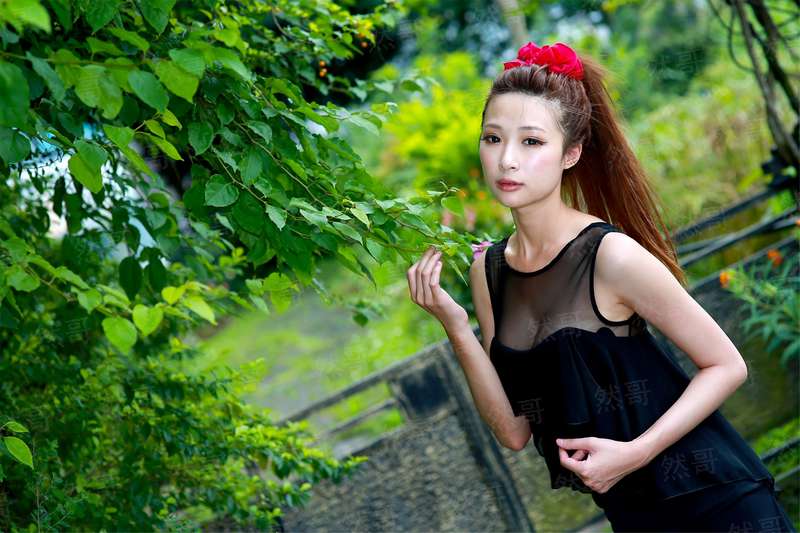 我的极品甜宠女友