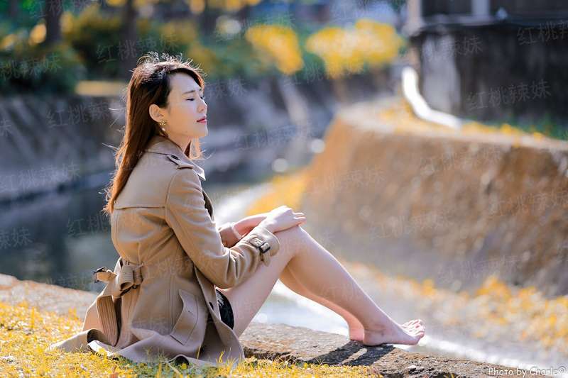 关于我重生成最后一头巨龙这件事