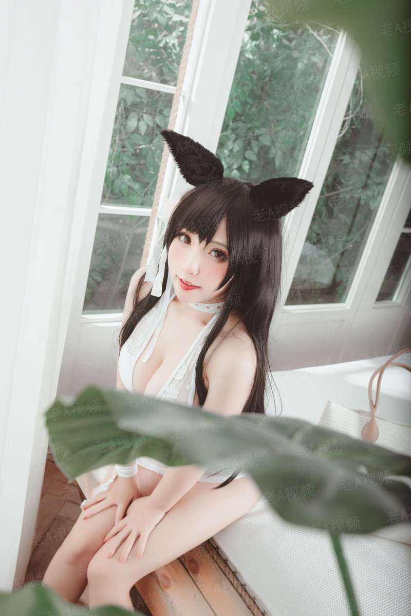 女配不炮灰