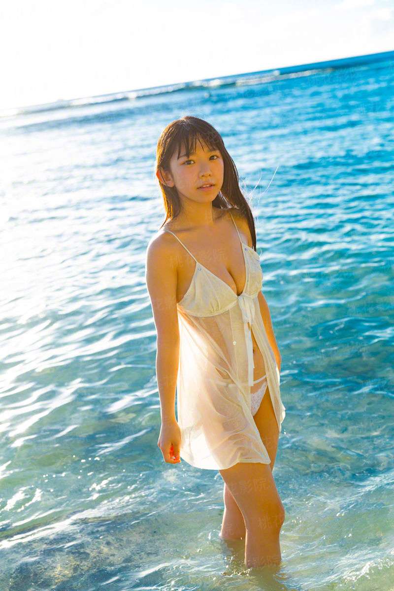 我能看到属性面板
