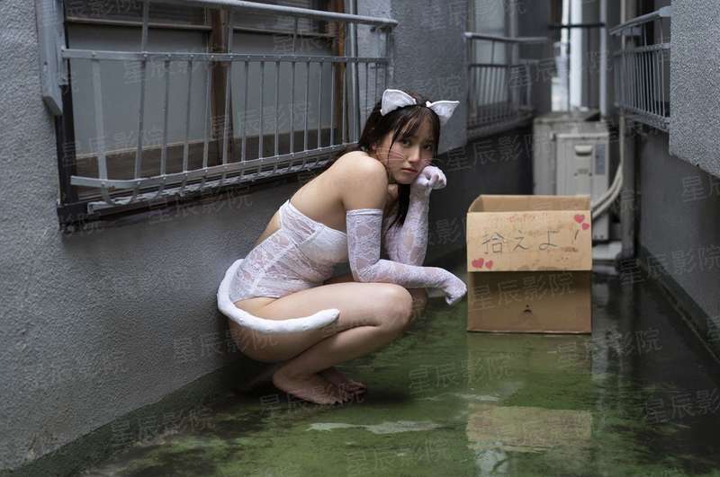 CBA常规赛第11轮 广东华南虎VS四川金强 20231202（徐秦威、张兆旭、王羽希）