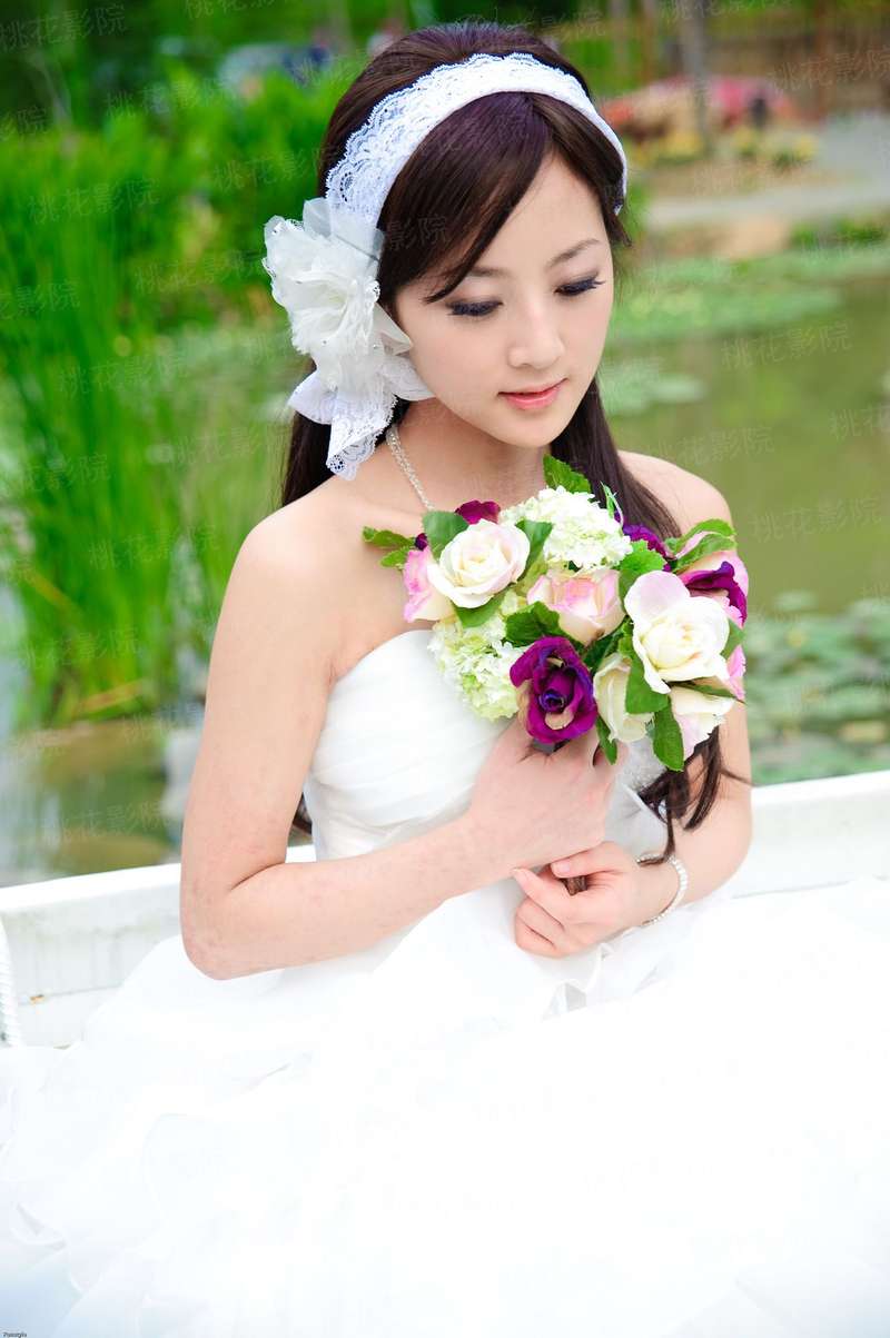 茶人草木心