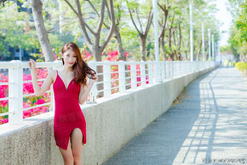 汤姆的农场旅行