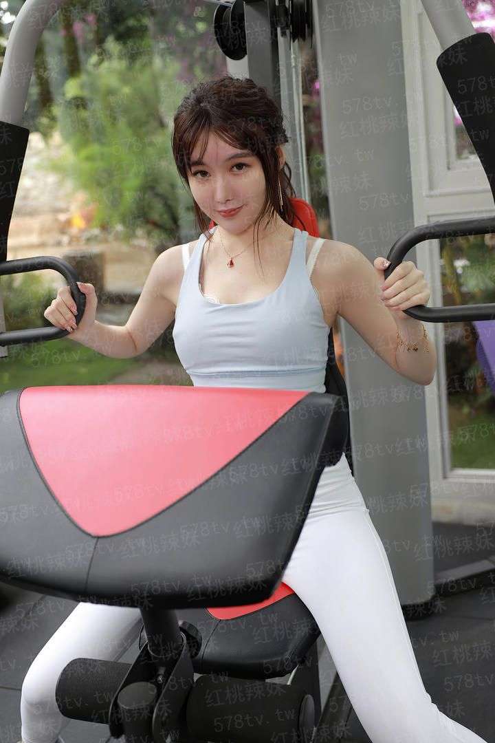 三国神算