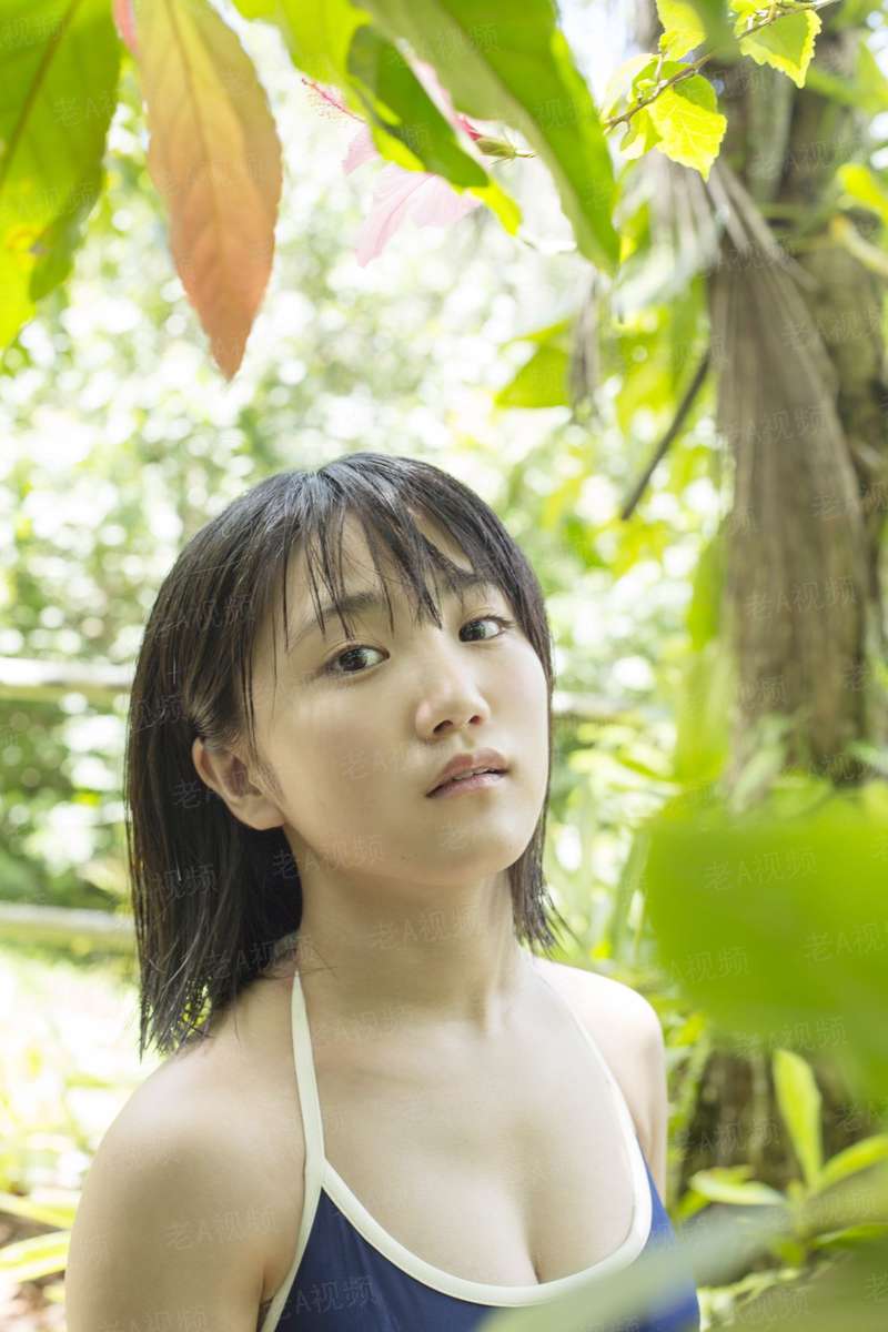 丧尸清除计划