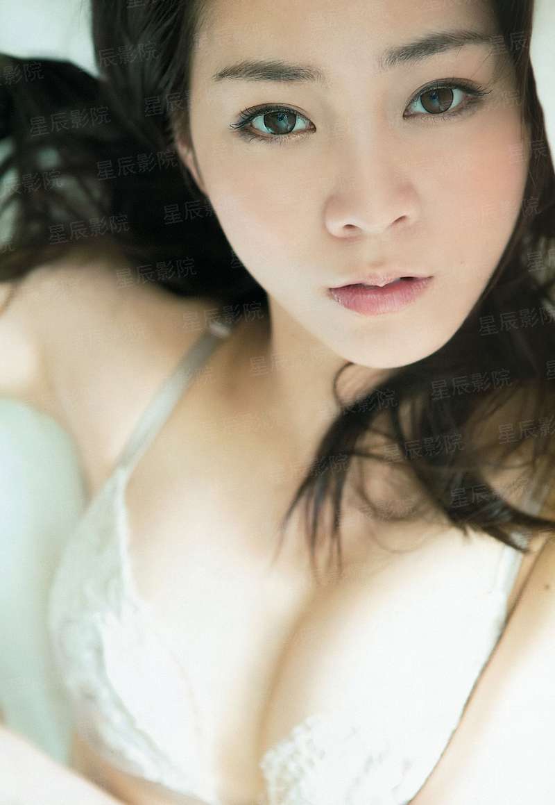 大机战系统