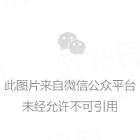 这些女女好腐好贼