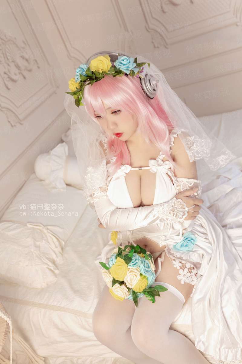 还珠之璋在龙心
