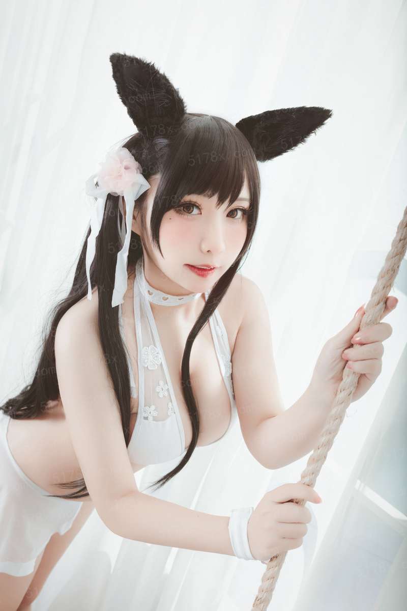 现代版宠物小精灵