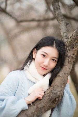 剑启星河