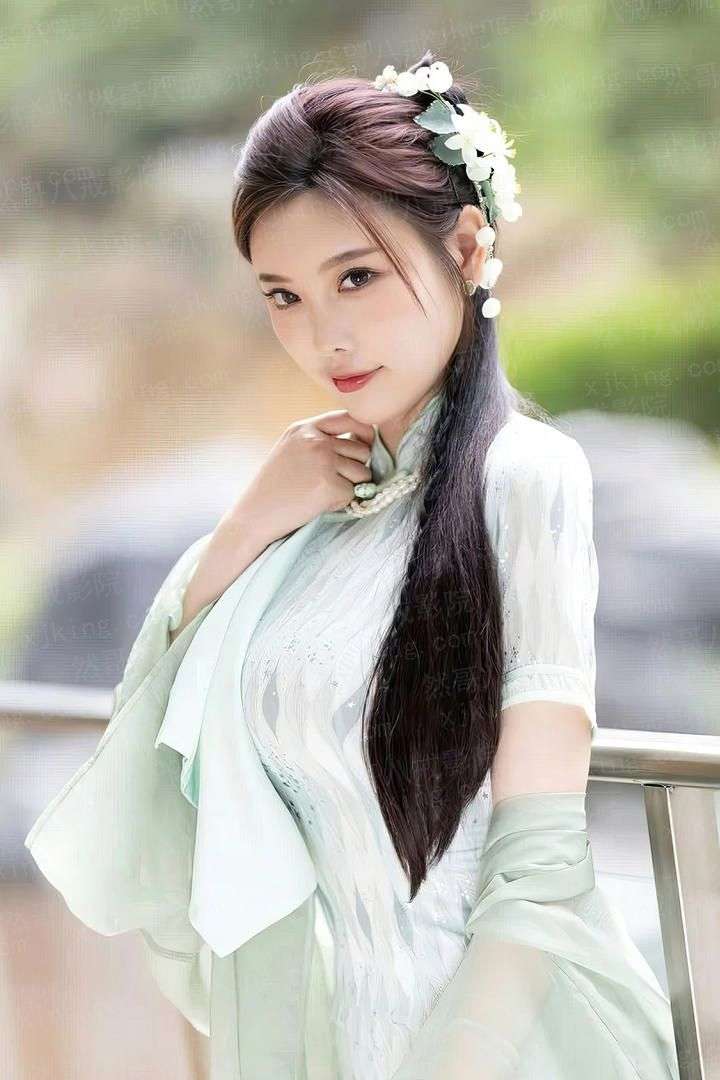 小陆家的英灵女仆