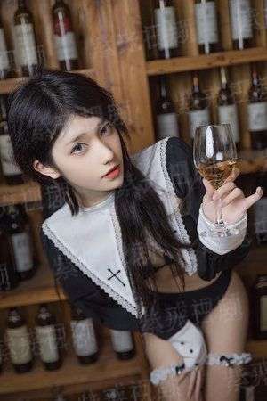王者荣耀之最强主播