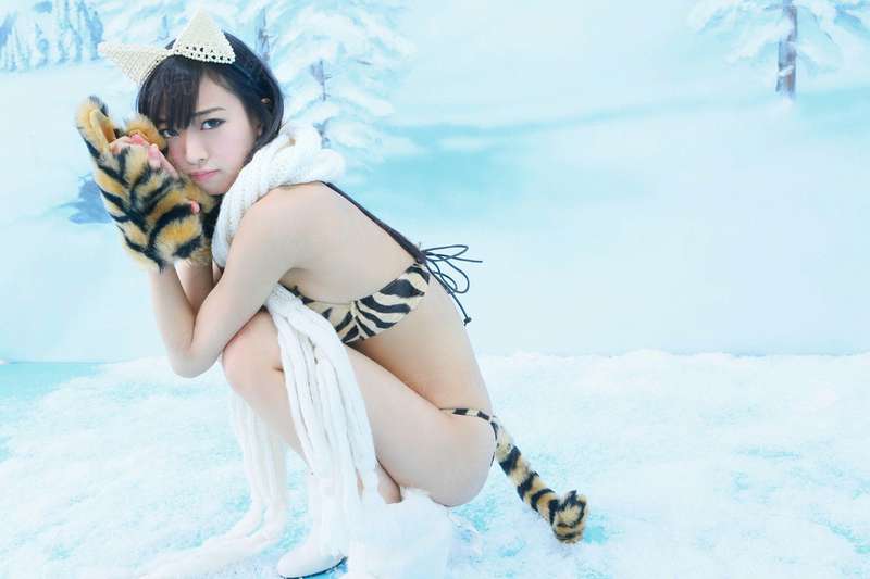 总裁老婆俏房客