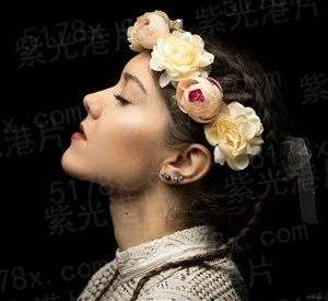 凤凰劫之权倾天下