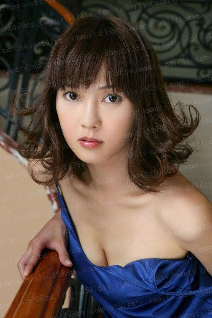 牡丹相思泪