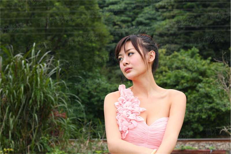 听风的歌