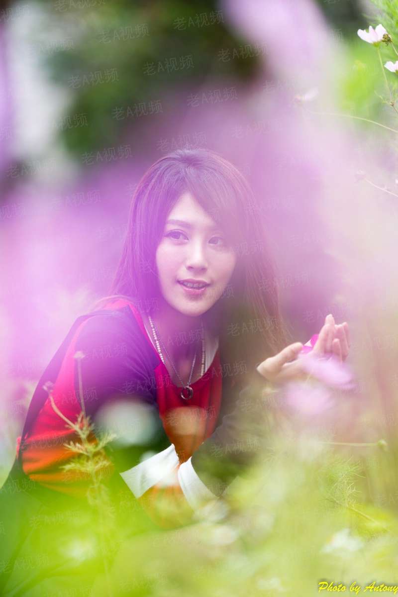 我在彼岸尽头，等你