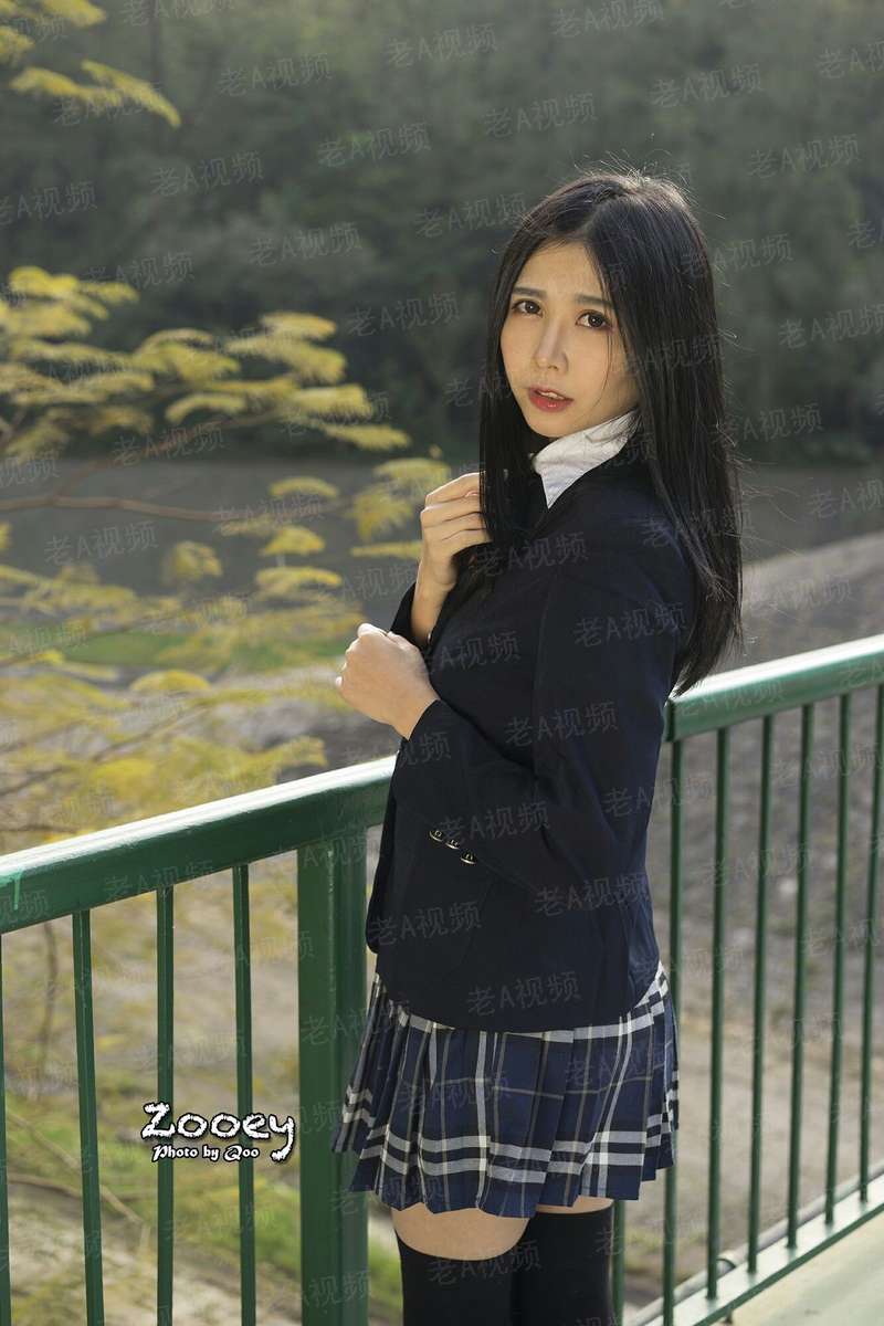 全能进化系统