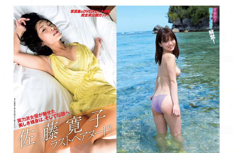 陪伴你的影子
