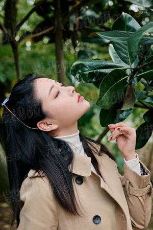 寻宝档案之九转灵童