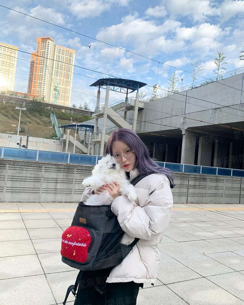 最牛姑爷
