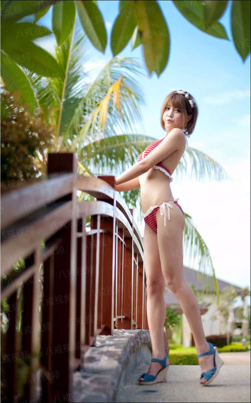 铁石心肠2019