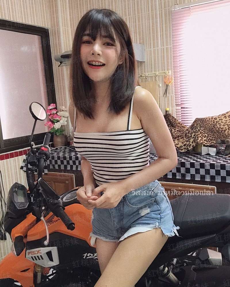 祖母的狗