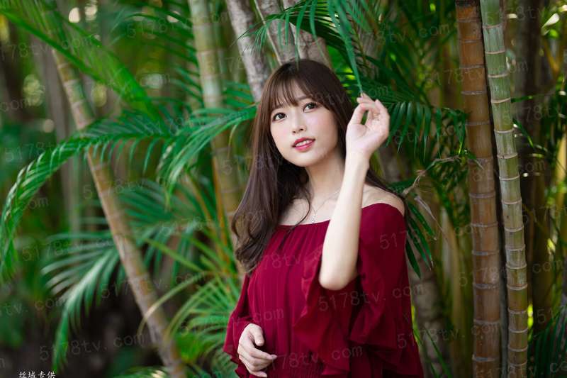 特别合作科2