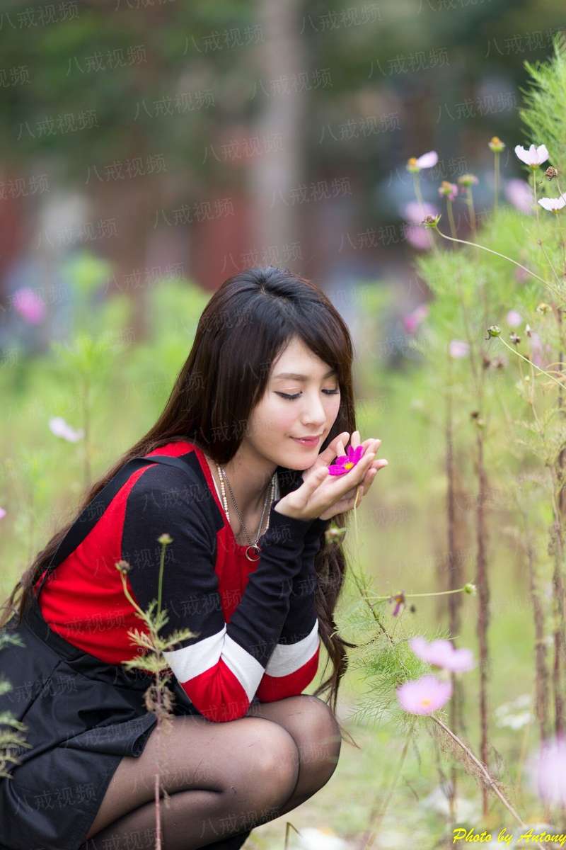 锦衣卫道