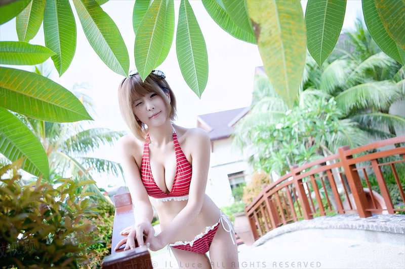流年似水桂花香